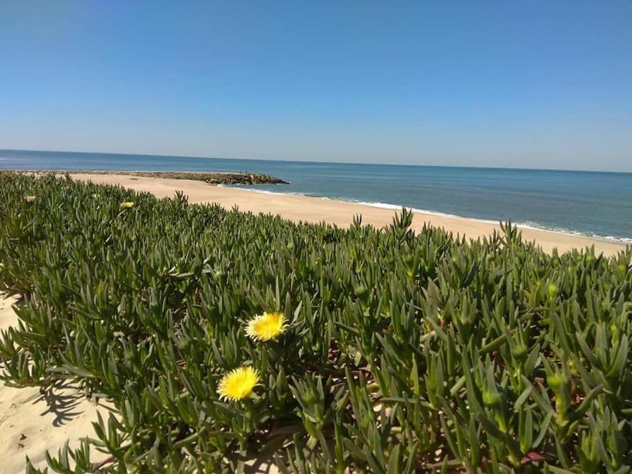 Casa De Praia Acolhedora/ Cosy Beach House Marinha das Ondas Экстерьер фото
